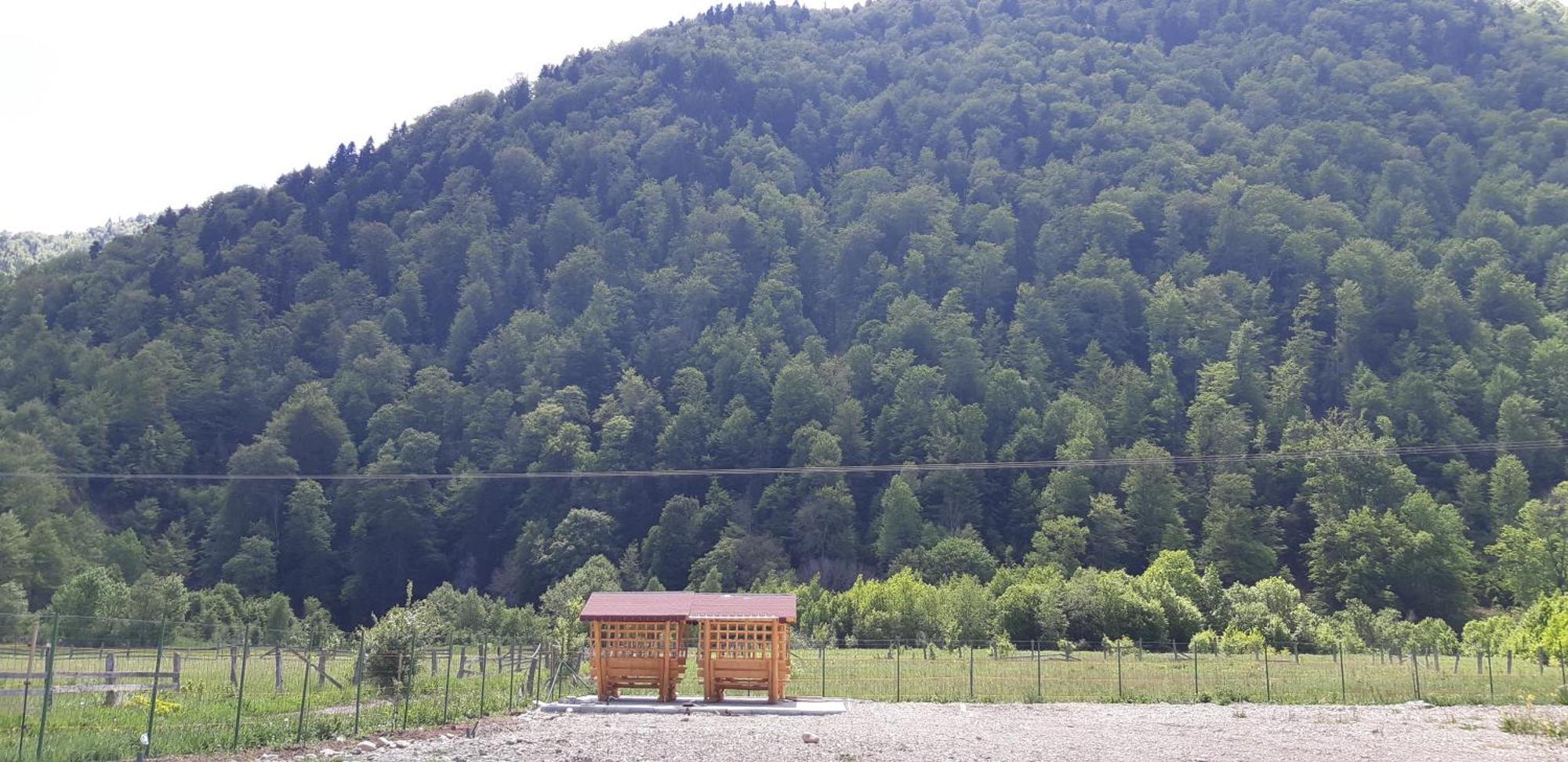 Camping Pentru Rulote, Auto Rulote, Corturi Personale La Barbosu In Lepsa, Vrancea Hotel Exterior photo