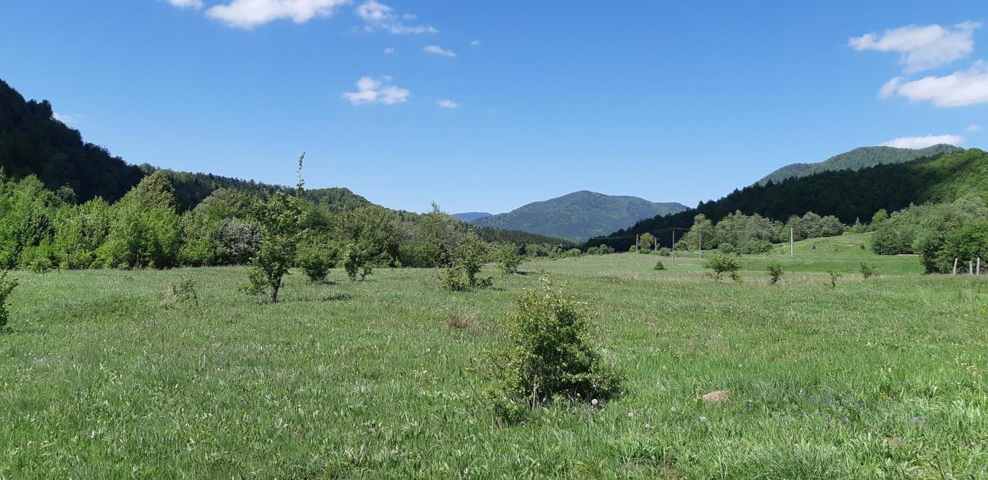 Camping Pentru Rulote, Auto Rulote, Corturi Personale La Barbosu In Lepsa, Vrancea Hotel Exterior photo